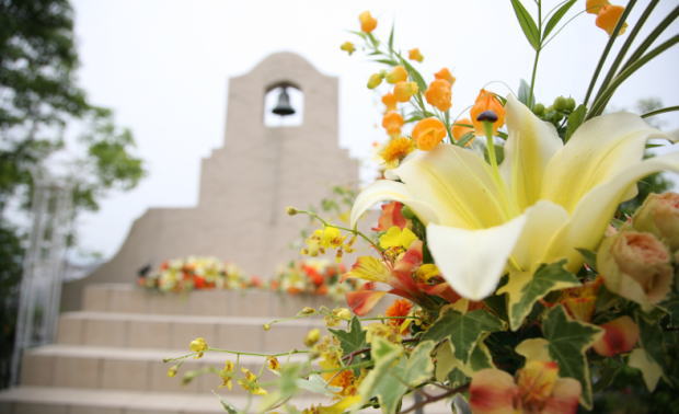 徳島県の結婚式場アンジェリーナ-ウェディングプラン-